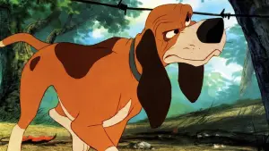 Задник до фильму"Лис і пес" #675971