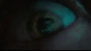 Задник до фильму"Хелловін. Кінець" #699651