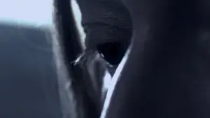 Задник до фильму"Молодий Адам" #394604