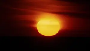 Задник до фильму"Walkabout" #897528