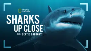 Задник до фильму"Sharks Up Close with Bertie Gregory" #792999