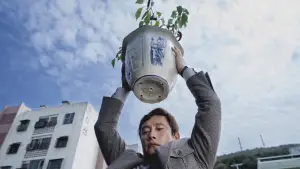 Задник до фильму"Жодного вибору" #511053