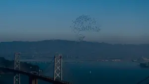 Задник до фильму"Матриця: Воскресіння" #601303