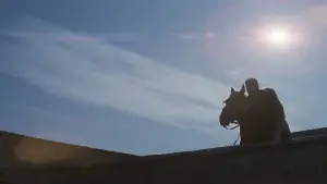 Задник до фильму"Ніколи не кажи «ніколи»" #664905