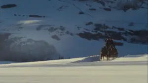 Задник до фильму"Мерзенна вісімка" #582707