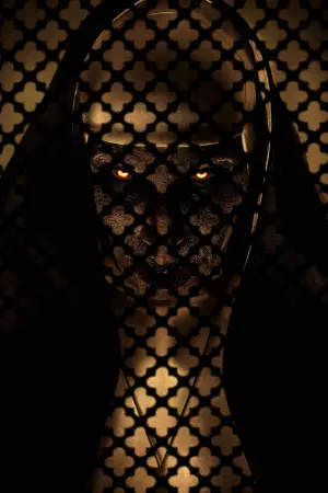 Постер до фильму"Монахиня 2" #663789