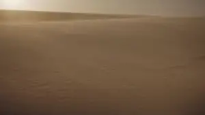 Задник до фильму"Дюна" #529617