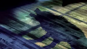 Задник до фильму"Дівчина з води" #377927