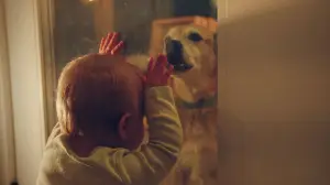 Задник до фильму"Good Dog" #776209