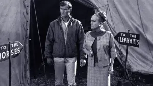 Задник до фильму"" #470585