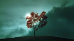 Задник до фильму"Дзвінок" #636357