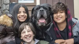 Задник до фильму"" #632240