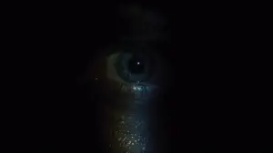 Задник до фильму"Снігобур" #603438