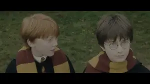 Задник до фильму"Гаррі Поттер і філософський камінь" #528332