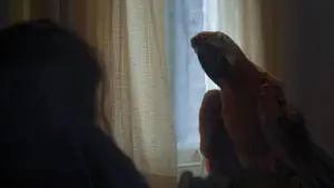 Задник до фильму"" #532798