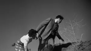 Задник до фильму"Вторгнення викрадачів тіл" #715475