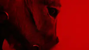 Задник до фильму"ІА" #759124