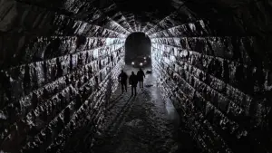 Задник до фильму"Мертва зона" #245207