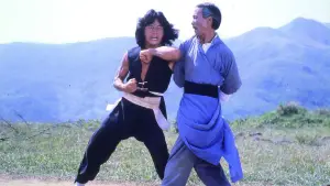 Задник до фильму"Молодий майстер" #721926