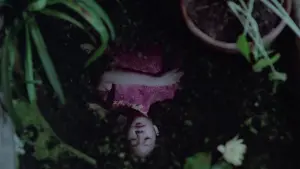 Задник до фильму"" #405650