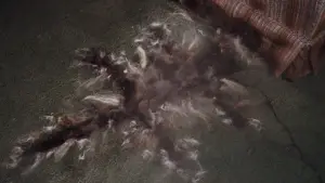 Задник до фильму"Різдвяні канікули" #676831