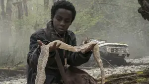 Задник до фильму"" #621317