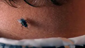 Задник до фильму"Субстанція" #797892