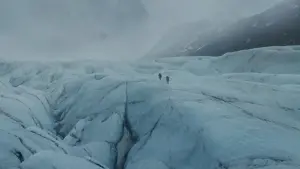 Задник до фильму"" #365363