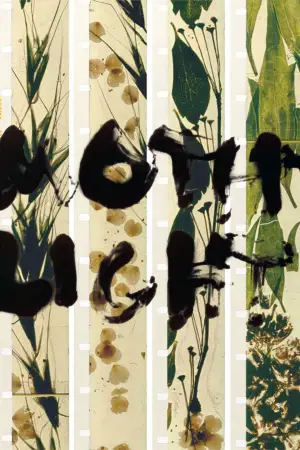 Постер до фильму"Метеликове світло" #703599