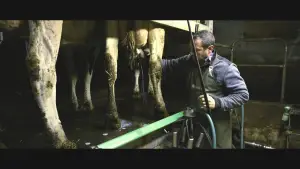 Задник до фильму"Violence dans les Champs" #794465