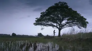 Задник до фильму"പ്രാവിൻകൂട് ഷാപ്പു" #807188