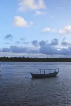 Anna Mariani - Photographic Notes