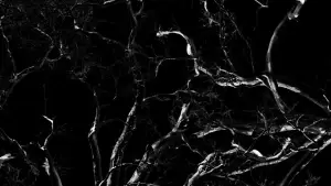 Задник до фильму"Dreams, Confessions and The End Of The World" #772857