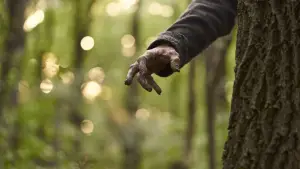 Задник до фильму"Беґмен" #628858