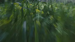 Задник до фильму"" #539090