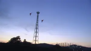 Задник до фильму"リリイ・シュシュのすべて" #788235