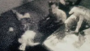 Задник до фильму"Шосе в нікуди" #811575