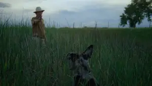 Задник до фильму"Безплідні землі" #667931