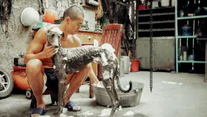 Задник до фильму"" #600700