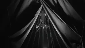 Задник до фильму"Furioso" #770273