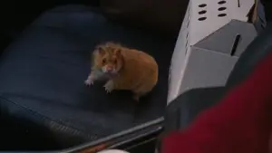 Задник до фильму"Я не залізна" #519155