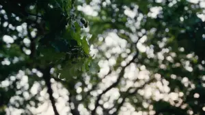 Задник до фильму"Одне ціле" #527927