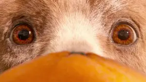 Задник до фильму"Пригоди Паддінґтона" #674570