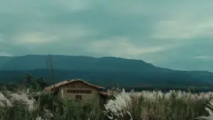 Задник до фильму"" #685527