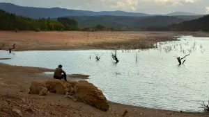 Задник до фильму"" #451593