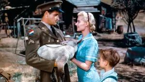 Задник до фильму"Пейтон-Плейс" #452917