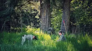 Задник до фильму"" #496903