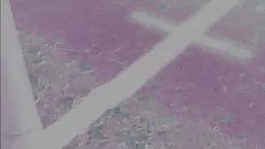 Задник до фильму"" #544932