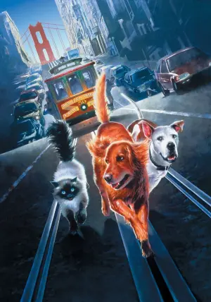 Постер до фильму"Дорога додому II: Загублені в Сан-Франциско" #449796