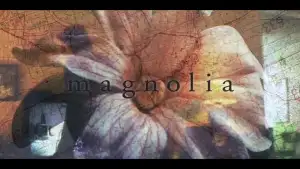 Задник до фильму"Магнолія" #804527